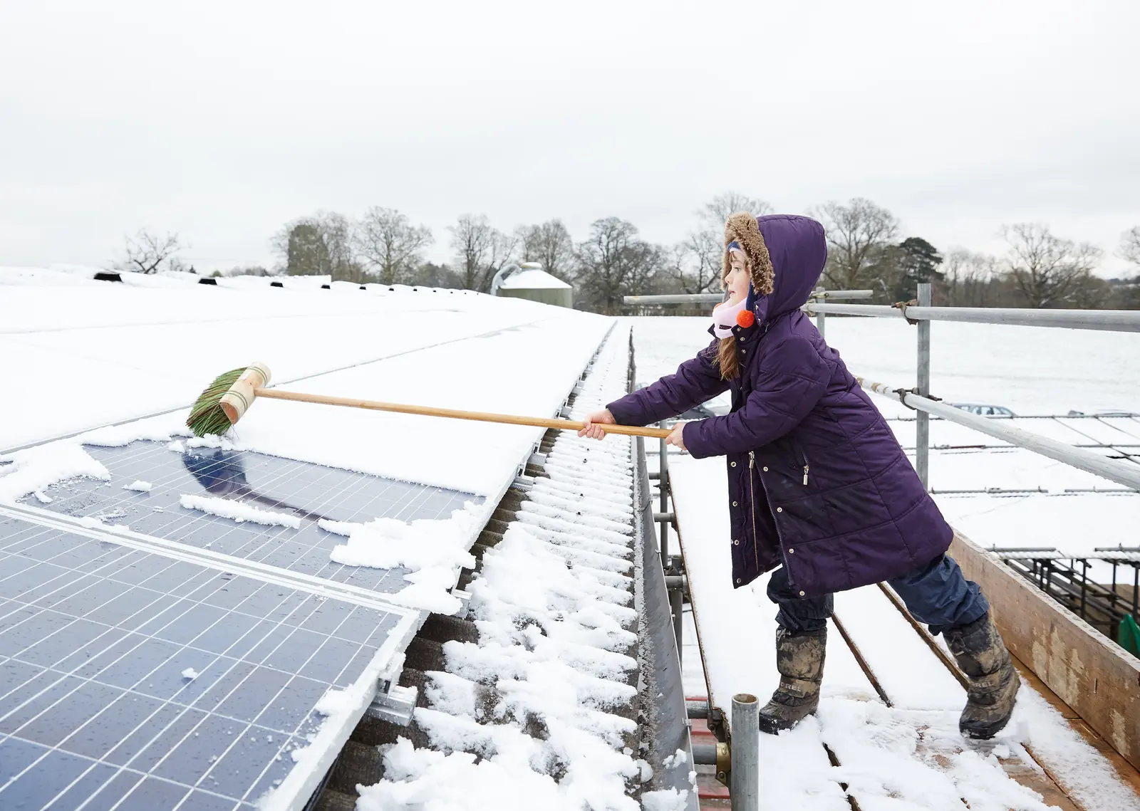 A person using a long-handled brush to clear snow from solar panels on a farm roof